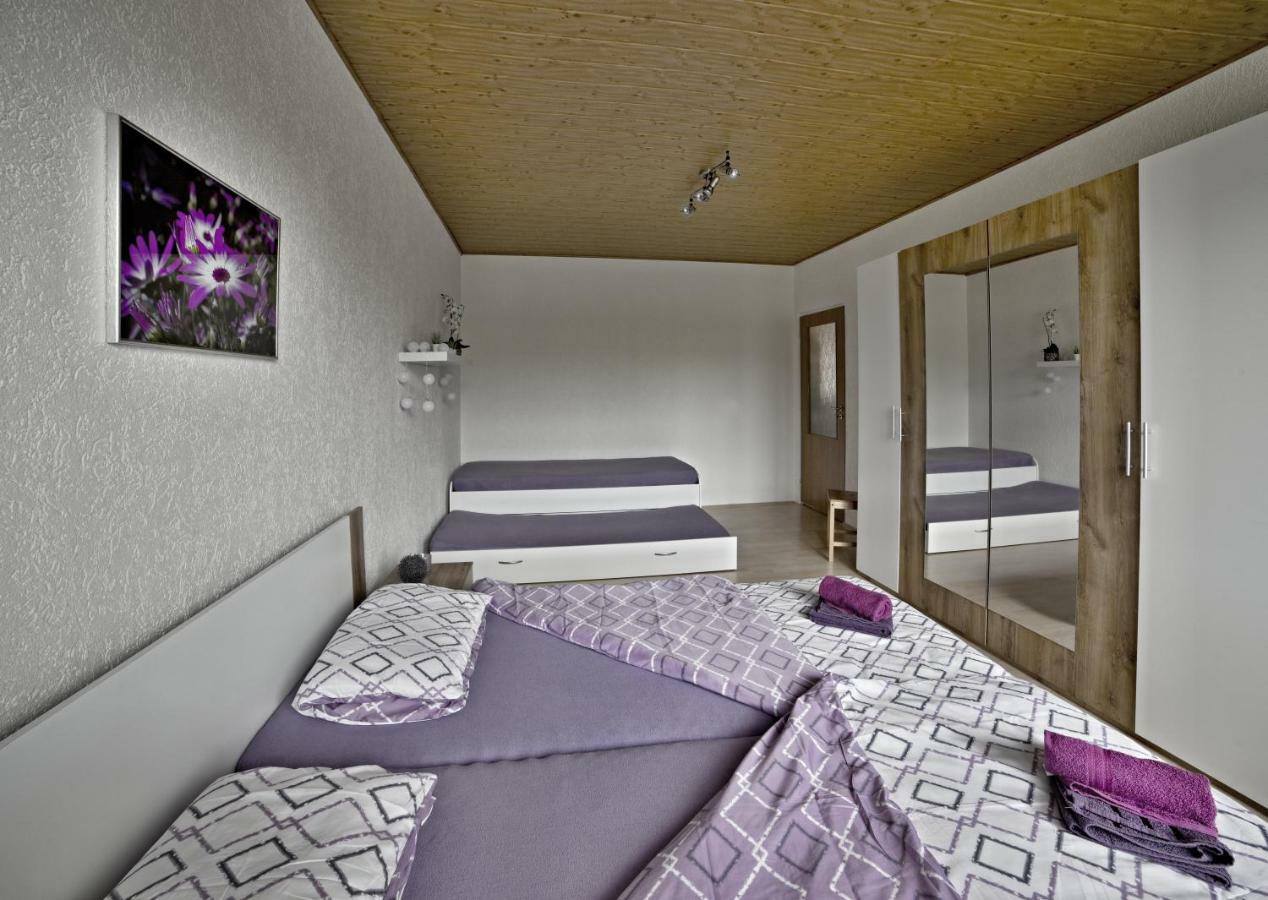 Apartmany 2+1 U Klinovce Kovářská Extérieur photo